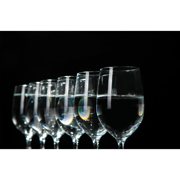 Фото - Бокал Schott Zwiesel для воды 0,253 л 121595