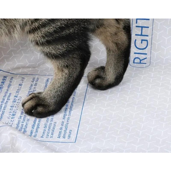 Фото - Сменная подкладка для наполнителя PETKIT High Performance Cat Litter Pad Ultra (P99035)