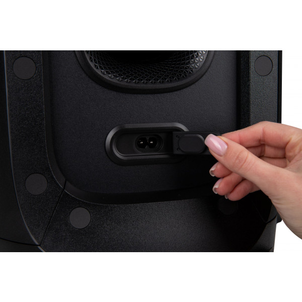 Фото - Акустическая система JBL PartyBox 310 (JBLPARTYBOX310EU)