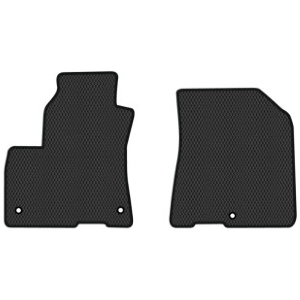 Фото - EVA коврики в салон авто передние EVAtech для Soul EV Kia 2020-2023 2 поколение Htb USA (KI14203AG2KH3RBB)