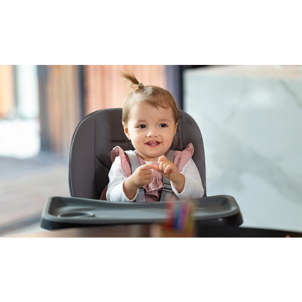 Фото - Стульчик для кормления трансформер Lionelo Mona Stone