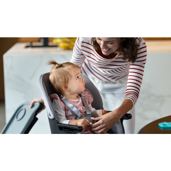 Фото - Стульчик для кормления трансформер Lionelo Mona Stone