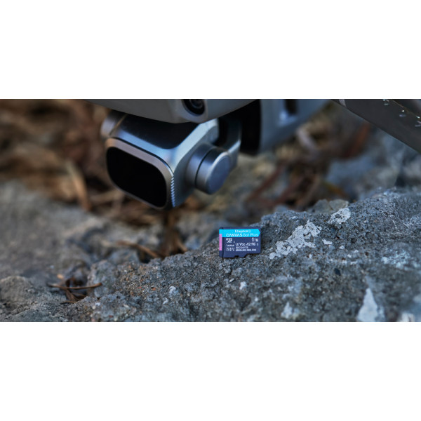 Фото - Карта памяти Kingston MicroSDXC 128GB Canvas Go! Plus G4 Class 10 UHS-I U3 V30 A2 (SDCG4/128GBSP)