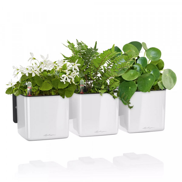 Фото - Набор кашпо Lechuza Green Wall Home Kit Glossy, 48х6х14 см, белый 13523