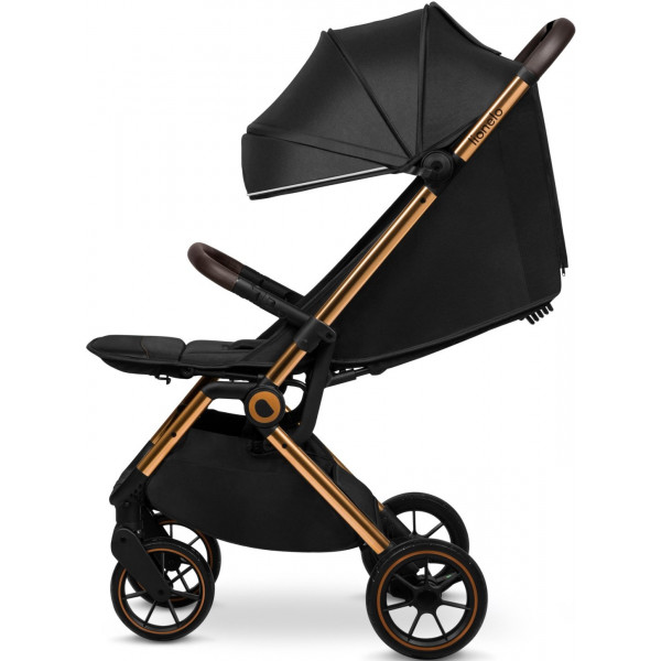 Фото - Коляска прогулочная Lionelo Cloe Black Onyx