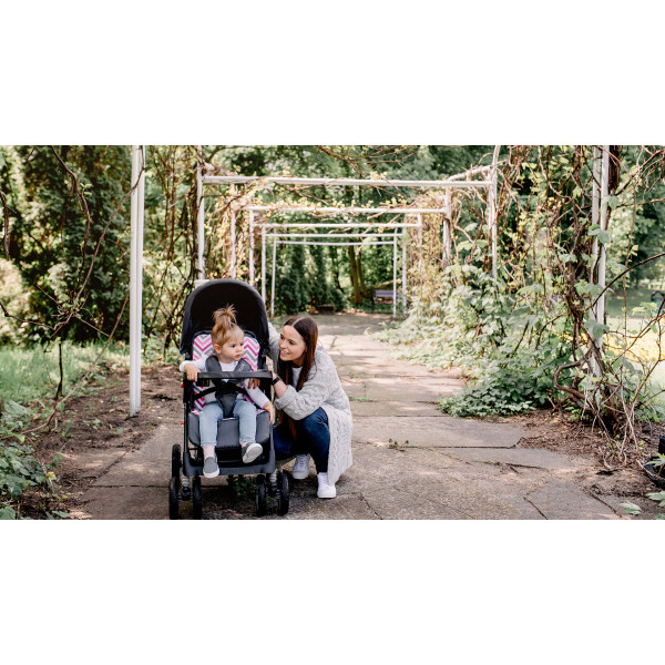 Фото - Коляска прогулочная Lionelo Emma Plus Pink Scandi