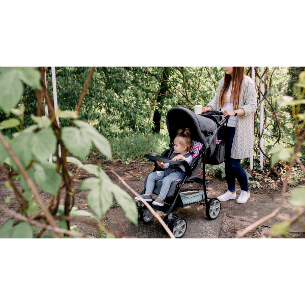 Фото - Коляска прогулочная Lionelo Emma Plus Pink Scandi