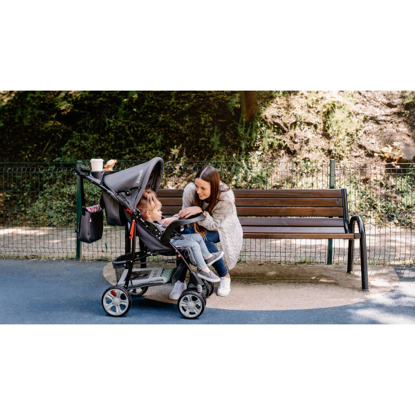 Фото - Коляска прогулочная Lionelo Emma Plus Pink Scandi