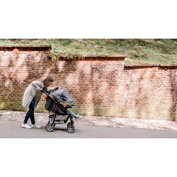 Фото - Коляска прогулочная Lionelo Emma Plus Pink Scandi