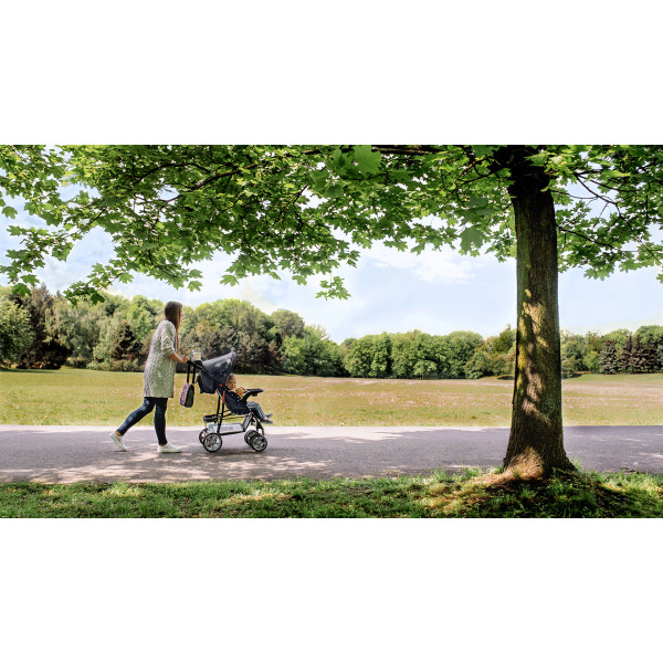 Фото - Коляска прогулочная Lionelo Emma Plus Pink Scandi