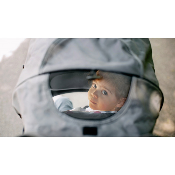 Фото - Коляска прогулочная Lionelo Emma Plus Pink Scandi