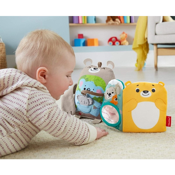 Фото - Книжка-игрушка Fisher-Price Мягкая книжечка Лесные друзья (GJD37)
