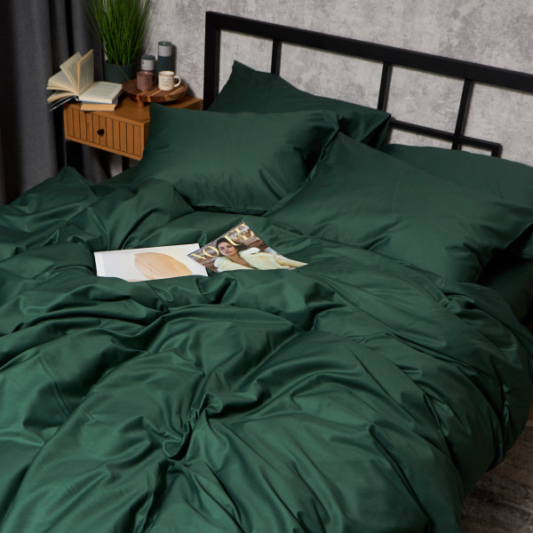Фото - Комплект постельного белья Moon&Star Satin Premium Evergreen Dream 160х220х2 нав. 2х50х70 (MS-820010041)