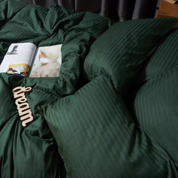 Фото - Комплект постельного белья Moon&Star Satin Stripe Mystic Green 160х220х2 нав. 4х70х70 (MS-820008644)