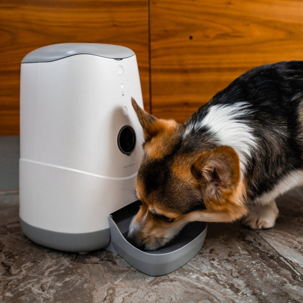 Фото - Смарт-кормушка для животных Petoneer Nutri Vision 3.7L (PF002)