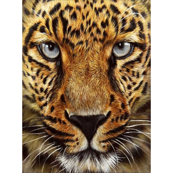 Фото - Алмазная живопись Strateg Гепард 30х40 см (JSDF79613)
