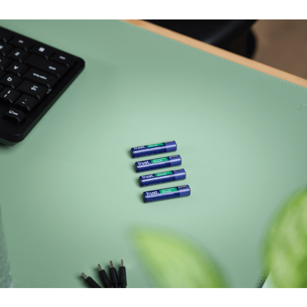 Фото - Аккумулятор тип AAA Trust AAА 400 мАг (25671)