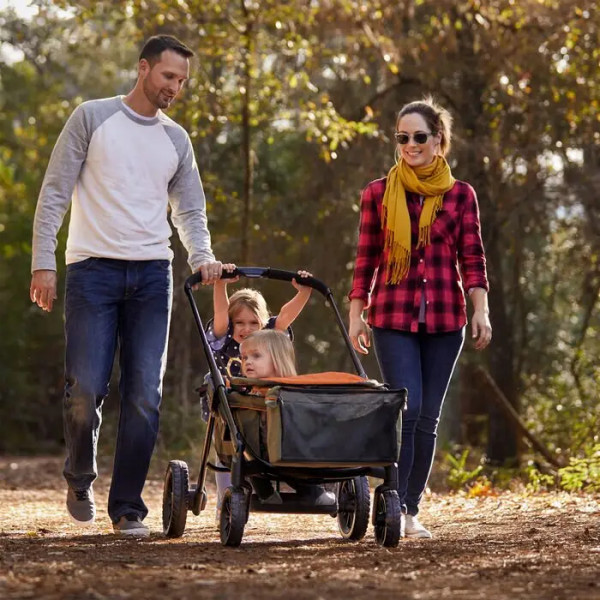Фото - Коляска для двойни прогулочная Evenflo Pivot Xplore All-Terrain Stroller Wagon Gypsy (32884198252)