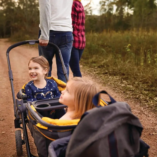 Фото - Коляска для двойни прогулочная Evenflo Pivot Xplore All-Terrain Stroller Wagon Gypsy (32884198252)