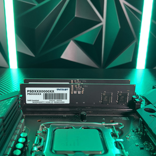 Фото - Память DDR Patriot DDR5 2x32GB/5600 Signature Line (PSD564G5600K)