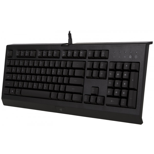 Фото - Клавиатура проводная Razer Cynosa Pro (RZ03-01470200-R3R1)