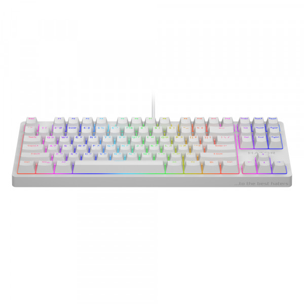Фото - Клавиатура проводная игровая Hator Rockfall 2 Optica Black TKL White (HTK-731)