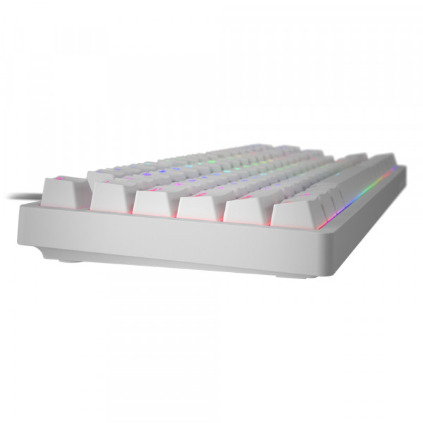 Фото - Клавиатура проводная игровая Hator Rockfall 2 Optica Black TKL White (HTK-731)