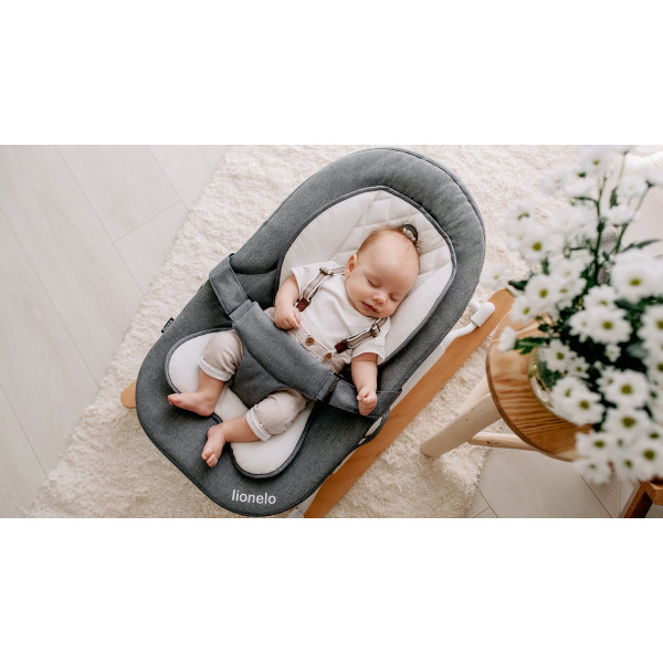 Фото - Кресло-качалка Lionelo Rosa Grey/Black