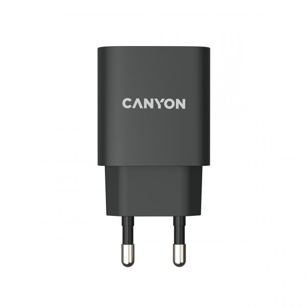Фото - Сетевое зарядное устройство Canyon CNE-CHA20B02