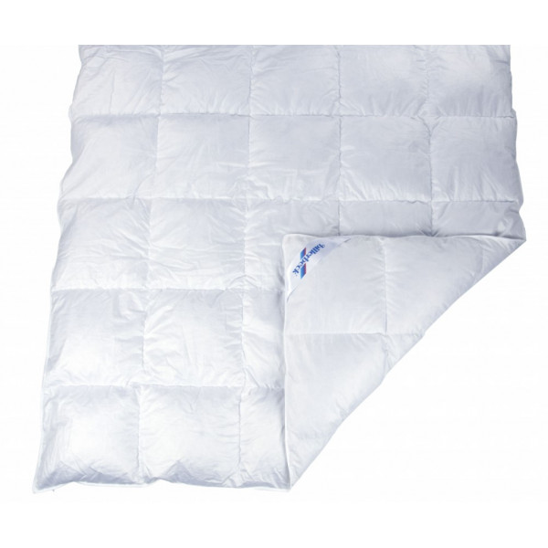 Фото - Одеяло зимнее полуторное Billerbeck пуховое Аделия К1 140х205 (0590-21/01)