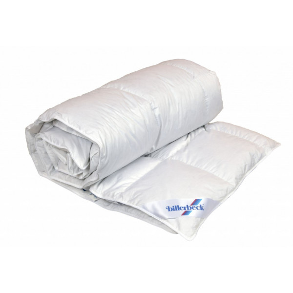 Фото - Одеяло зимнее полуторное Billerbeck пуховое Аделия К1 140х205 (0590-21/01)