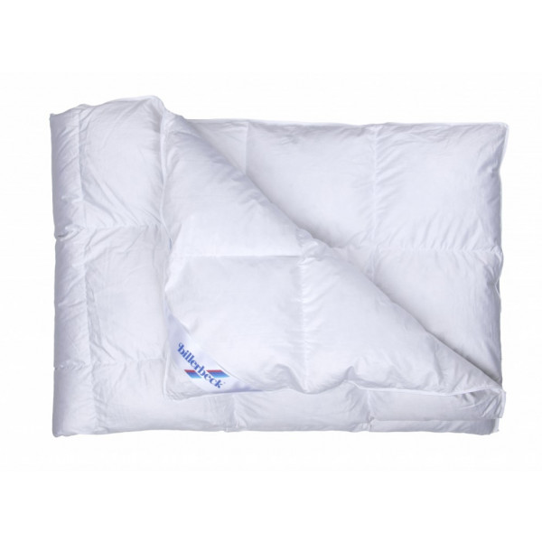 Фото - Одеяло зимнее полуторное Billerbeck пуховое Аделия К1 140х205 (0590-21/01)