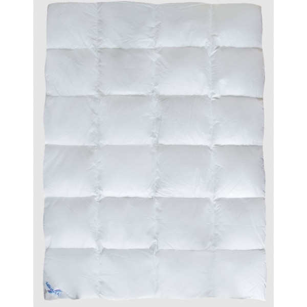 Фото - Одеяло зимнее полуторное Billerbeck пуховое Аделия К1 140х205 (0590-21/01)