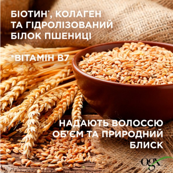 Фото - Подарочный набор для ухода за волосами OGX Биотиновая формула с коллагеном для объема и укрепления волос (3574661864952)