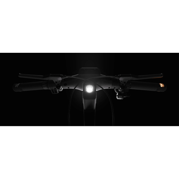 Фото - Электросамокат Segway Ninebot ZT3 Pro E