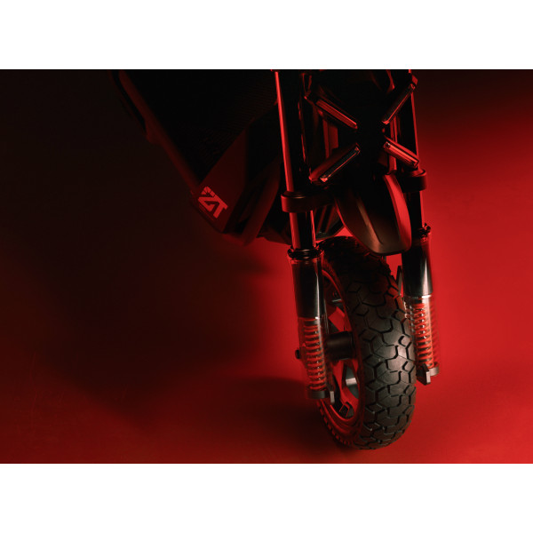 Фото - Электросамокат Segway Ninebot ZT3 Pro E
