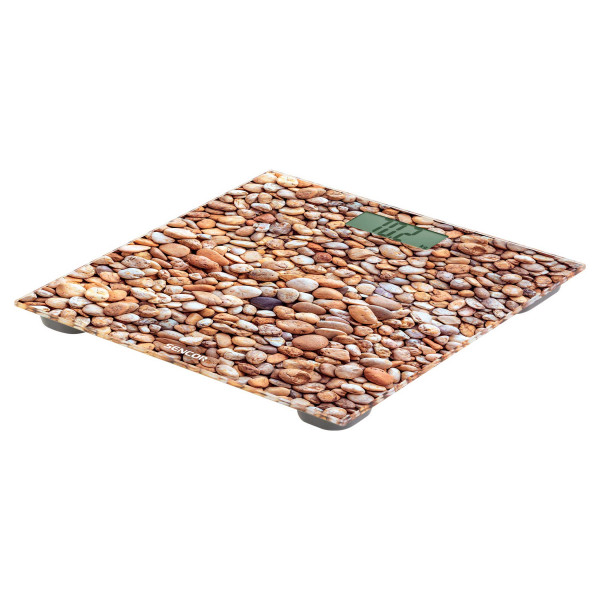 Фото - Весы напольные Sencor SBS2302SN