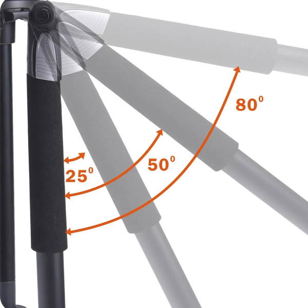 Фото - Штатив Vanguard Alta Pro 2+ 263AP