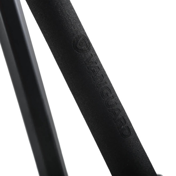 Фото - Штатив Vanguard Alta Pro 2+ 263AP