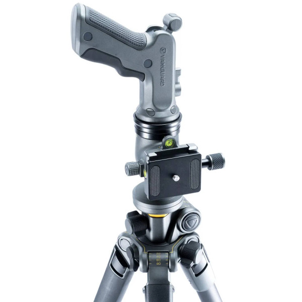 Фото - Штатив Vanguard Alta Pro 2+ 263AGH