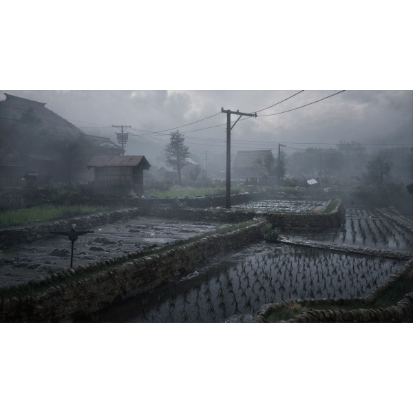 Фото - Игровой диск PS5 Silent Hill f