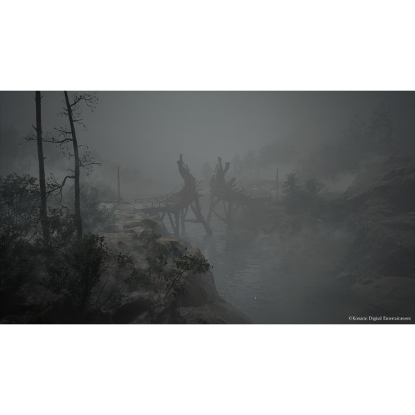 Фото - Игровой диск PS5 Silent Hill f