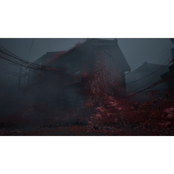 Фото - Игровой диск PS5 Silent Hill f