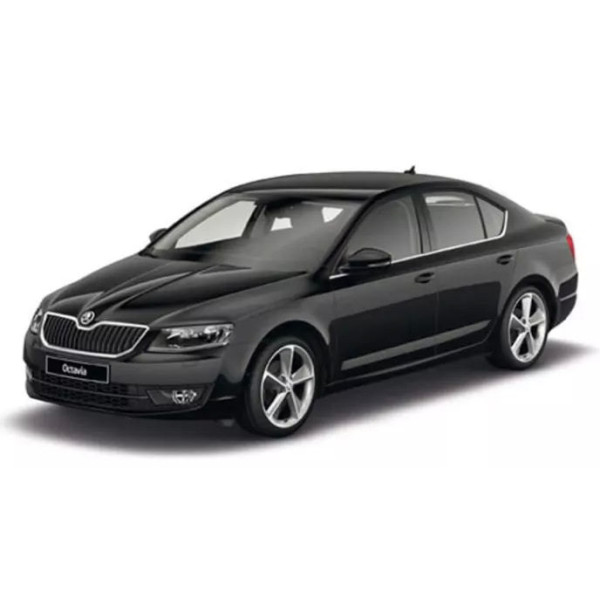 Фото - Коврики из экокожи в салон авто передние EVAtech для Octavia A7 MT Skoda 2013-2020 3 поколение Liftback EU (SK3640AR2AV4BBB)