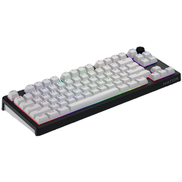 Фото - Клавиатура беспроводная игровая Hator Skyfall 80 wireless Black-White (HTK3180UA)