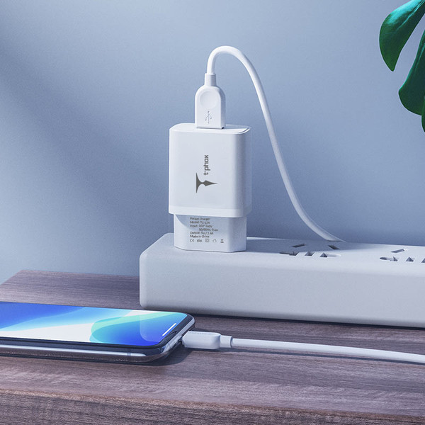 Фото - Сетевое зарядное устройство T-phox Pocket USB+MicroUSB cable (TCC-124 (W)+Micro)