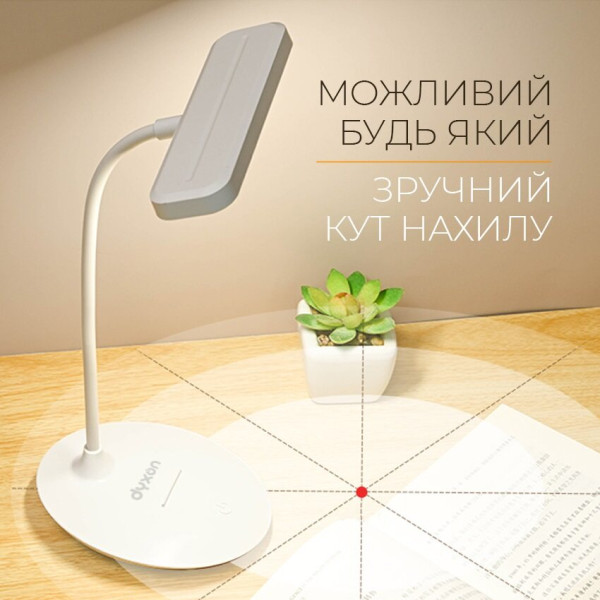 Фото - Настольная лампа Dyxon MEGALIGHT 300 White (DXNLMGLGT300W)