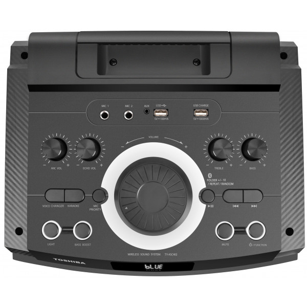 Фото - Акустическая система Toshiba TY-ASC402