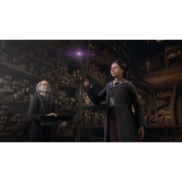 Фото - Игровой диск PS4 Hogwarts Legacy Deluxe Edition [PS4, Blu-Ray диск]