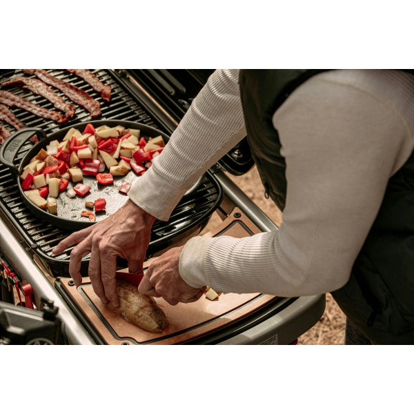 Фото - Гриль газовый Weber Traveler LP Stealth, Black (9013075)